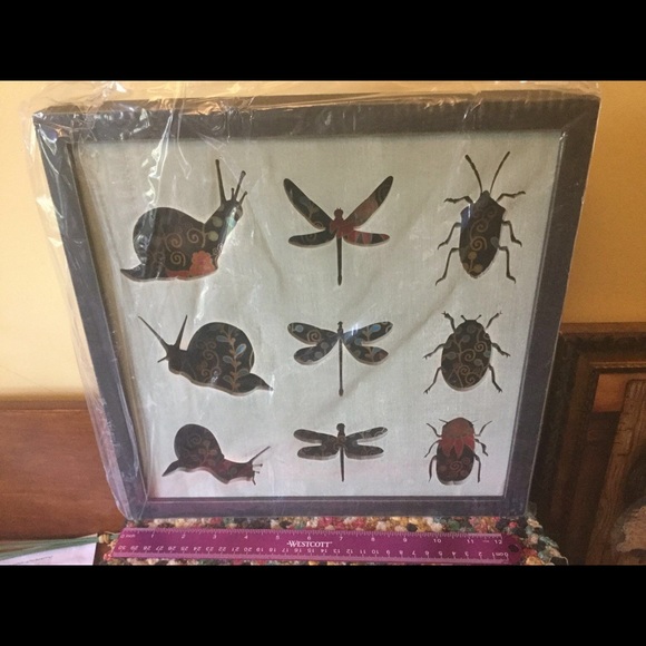 Dragonfly, Snail, Beetle Frame Shadow Box - Picture 2 of 4
